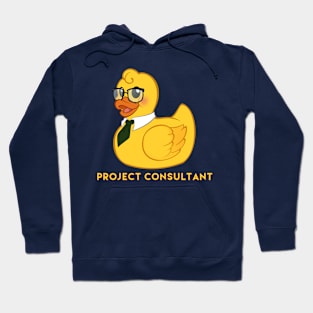 Project Consultant Hoodie